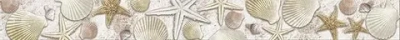 Бордюр ALMA Ceramica BWU60ALD404 Ailand 60x6 белый / бежевый глазурованный глянцевый морские мотивы