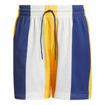 Баскетбольные шорты adidas Summer Of Sport Basketball Shorts Multicolor