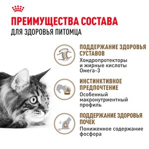 Пауч Royal Canin Ageing +12 для стареющих кошек в возрасте старше 12 лет, мелкие кусочки в желе