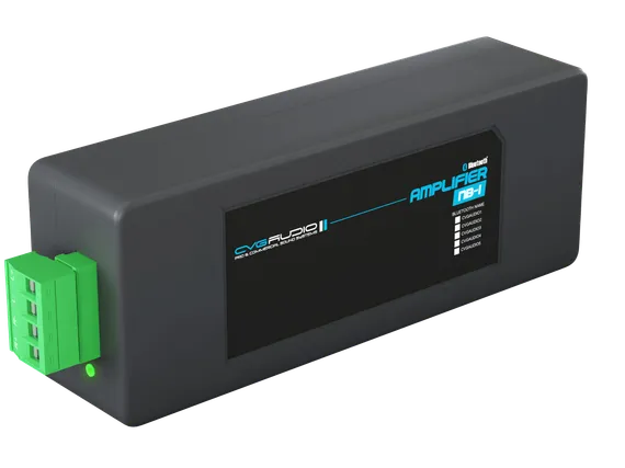 CVGAUDIO NB-1 стереофонический двухканальный цифровой усилитель D-класса