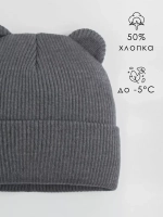 Шапка для мальчика с ушками осенняя