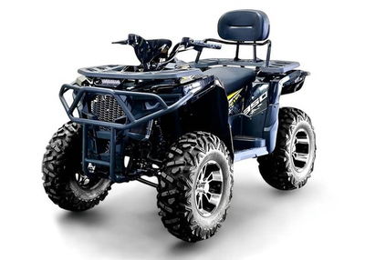 Квадроцикл BIZON ZX350