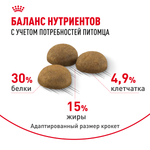 Royal Canin Indoor Long Hair Индор Лонг Хэйр Корм сухой для длинношерстных кошек в возрасте от 1 года до 7 лет живущих в помещении 2кг
