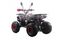 Квадроцикл MOTAX ATV Grizlik Premium 125cc