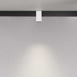 Трековый магнитный светодиодный светильник Maytoni   TR121-2-7W4K-W
