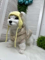 Утепленный жилет для собак и кошек