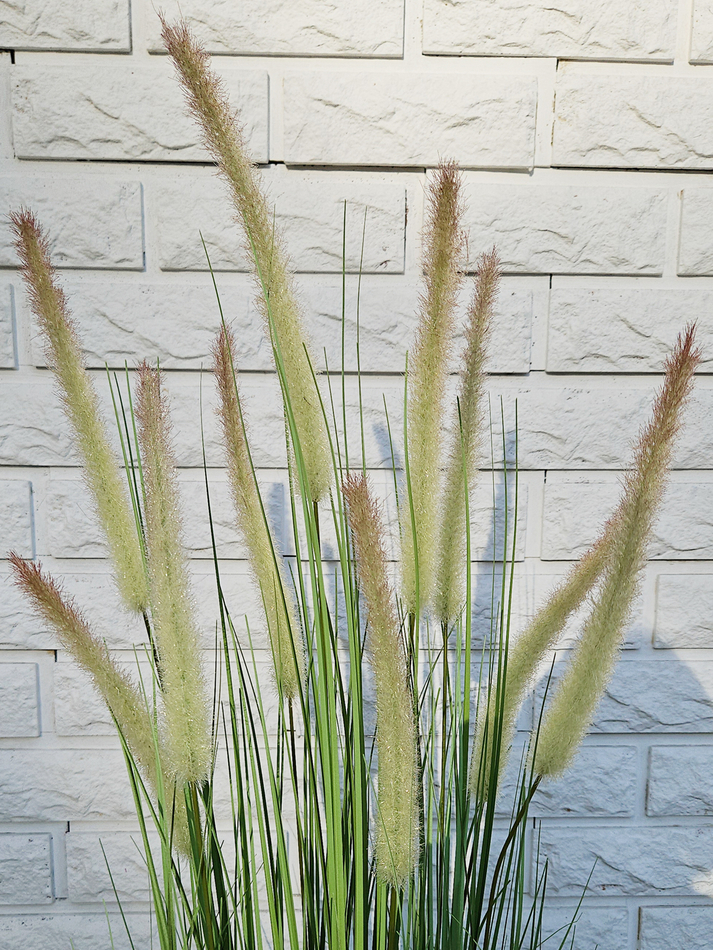 Искусственная Трава Пампасная Пеннисетум 110см в кашпо