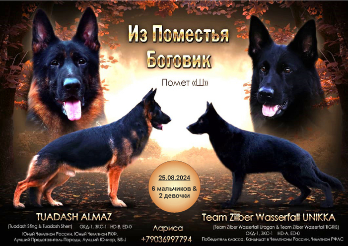Помет "Ш"