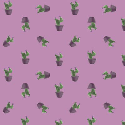 Цветущий кактус паттерн