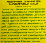 Львиный зев Высокорослый белый СМЦ-537