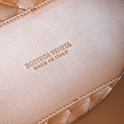 Bottega Veneta Small Andiamo 25 cm