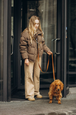 Перестежка поводок для собак 20 мм , 5 м коричневый и леопард