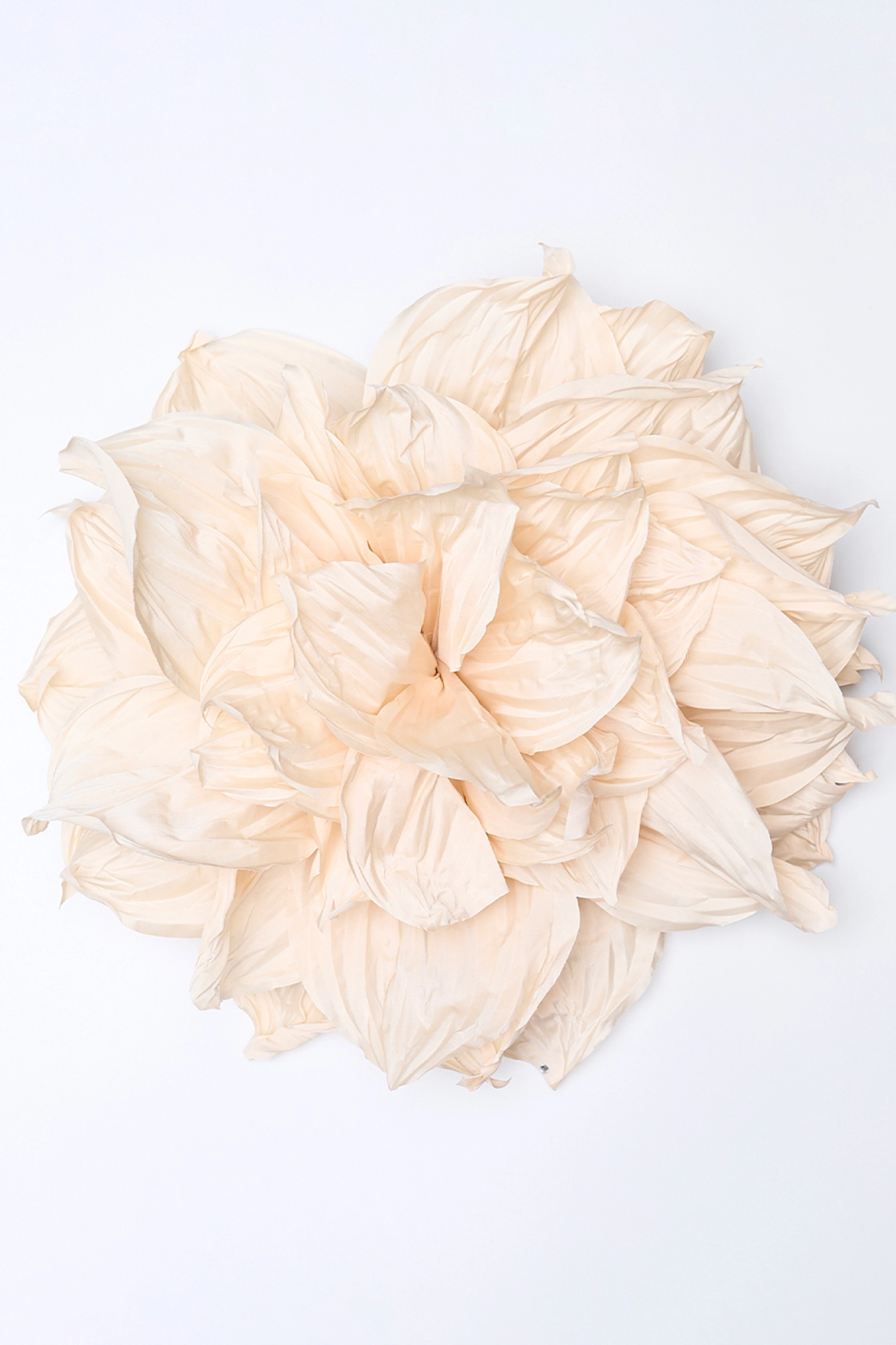 Брошь Pion, крем-брюле