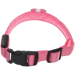 Ошейник для собак «Люмисцент» 2,5*50см светящийся, цвет розовый Ультрамарин