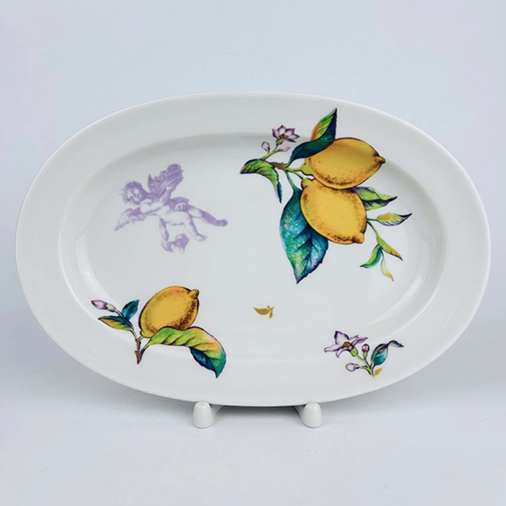 Селедочница 25 х 16.8 см ф. Молодежная рис. Лимоны арт. 80.44552.00.1