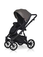 Коляска 2 в 1 Riko Basic Delta Ecco