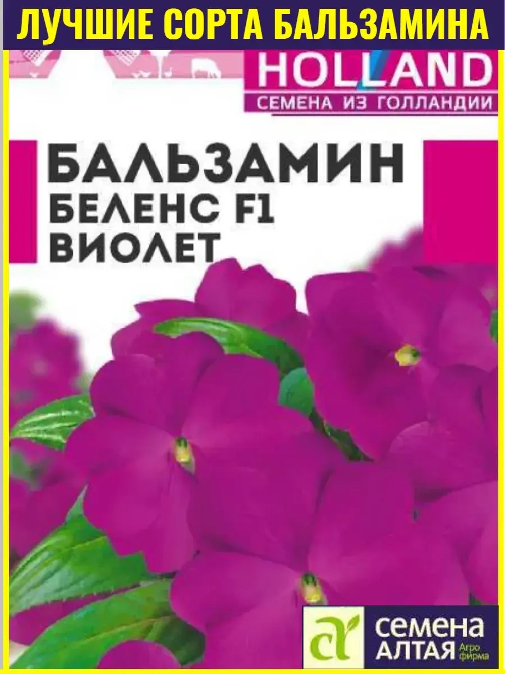 Семена Бальзамин Беленс Виолет