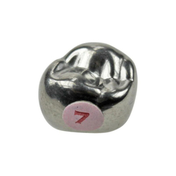 Первый верхний правый моляр, размер 7 (D-UR-7)