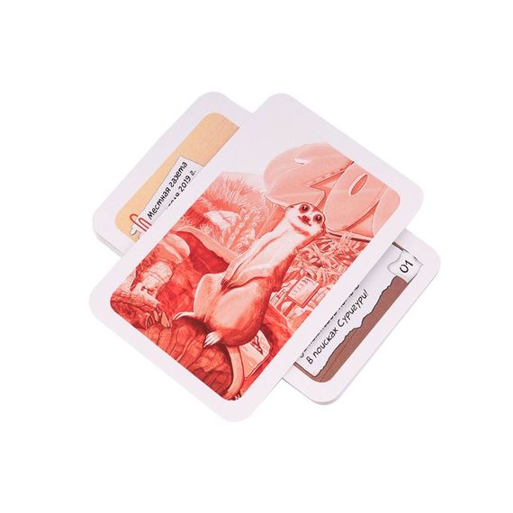 Игра &quot;Элементарно. Тайна пропавшего суриката&quot;