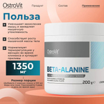 Аминокислота OstroVit Beta-Alanine 200 г без вкуса