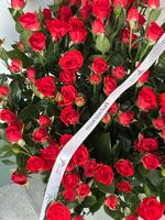 АКЦИЯ - красная кустовая роза - цена действует при заказе от 25шт