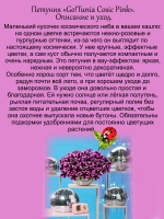 Петуния Розовый космос Гоутуния Космик Пинк