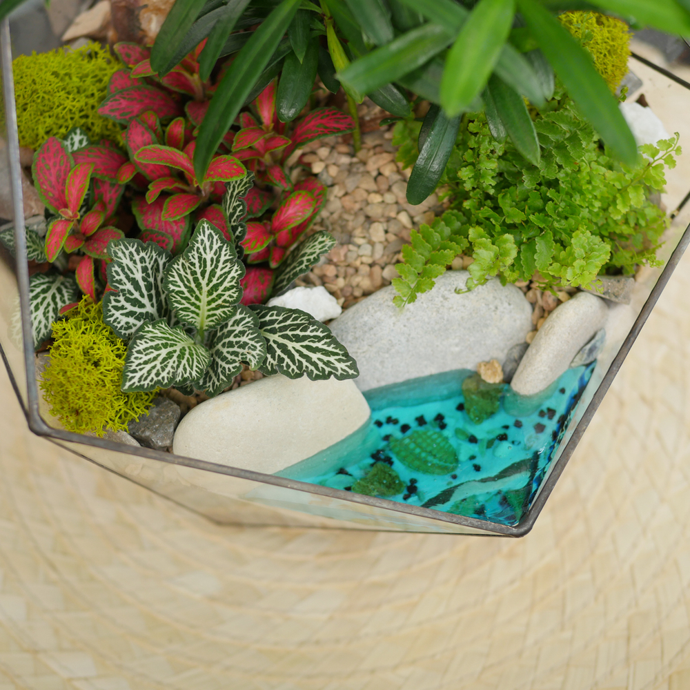 Готовый флорариум Роща подокарпусов Икос с озером