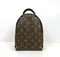 Рюкзак Louis Vuitton Palm Springs PM коричневый