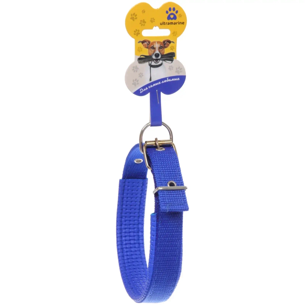 Ошейник для собак однотонный «ЗООЛЕНД БРО», цвет синий, 2,5*54см (бирка)