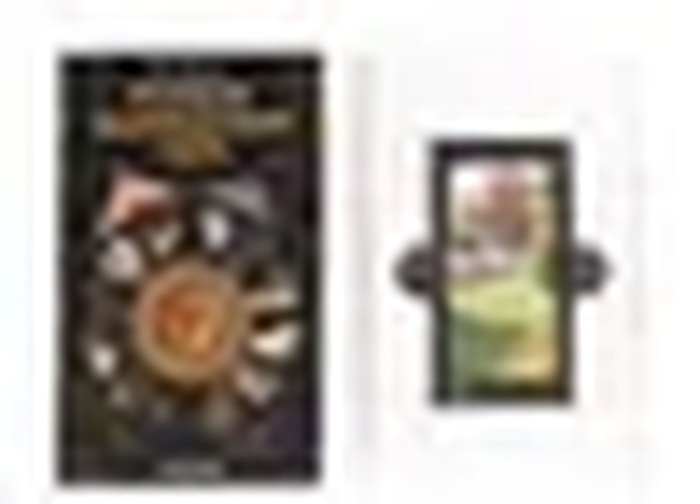 Набор "Русское Календарное Таро"