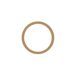 Прокладка передней крышки RT-5265 (Gasket) поз.41