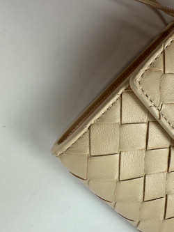 Сумка Bottega Veneta Andiamo