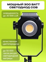 Осветитель светодиодный Raylab RL-300PRO 2700-6500K с пультом