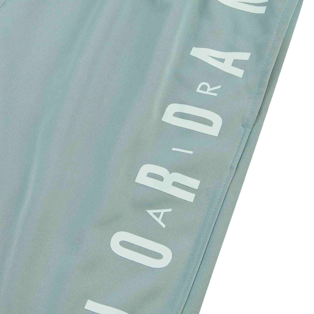 Шорты Jordan Air Jordan logo, DQ5917-077