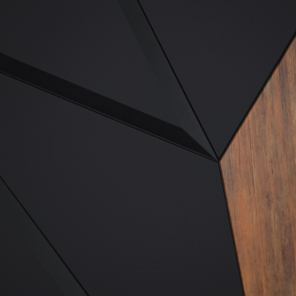 Стальная дверь "Макс 3D" с зеркалом (биометрический замок Y12). Заказная модель.