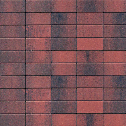 Тротуарная плитка ПРЯМОУГОЛЬНИК Б.2.П.6 200x100 мм Листопад гладкий Клинкер