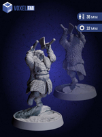 Воины Клана Зимних Теней