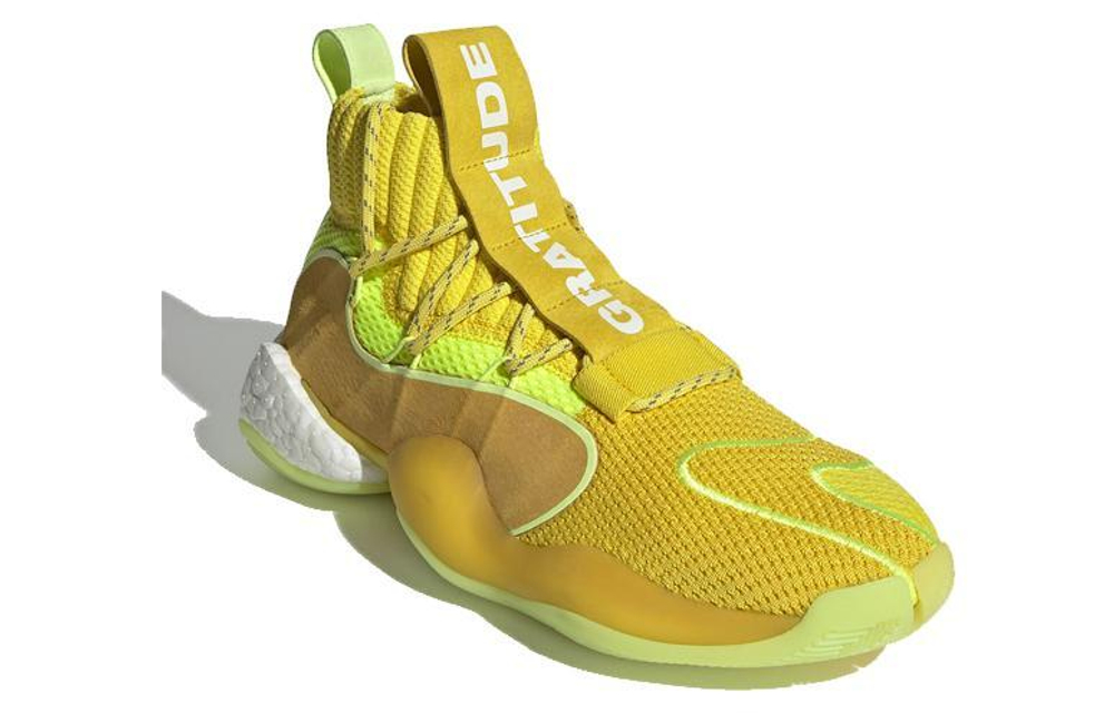 Кроссовки Pharrell X Adidas Originals Crazy Byw X