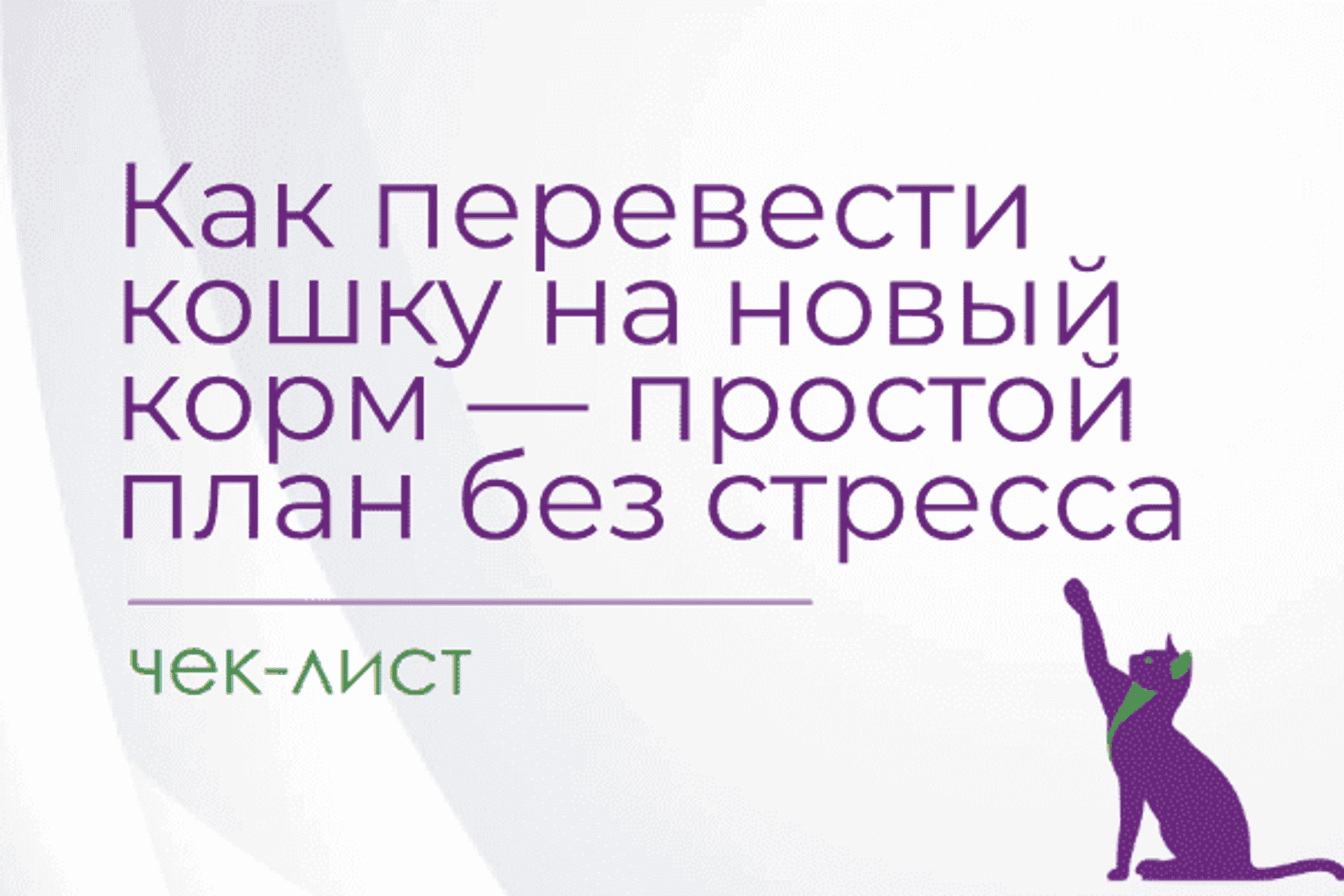 Как перевести кошку на новый корм — простой план без стресса
