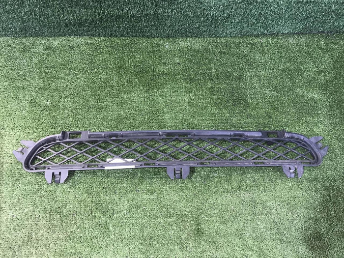 Решетка переднего бампера BMW X3 F25 (2010-2014)