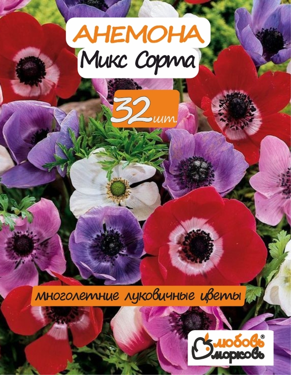 Анемона луковицы, микс сорта 32 шт