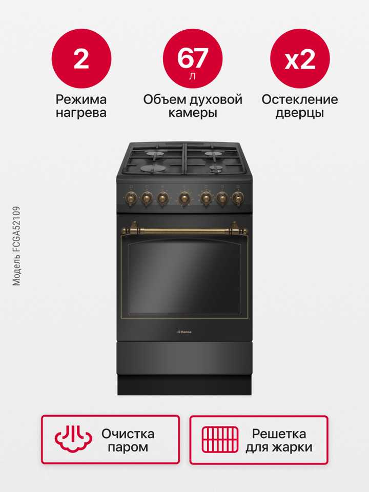 Газовая плита Hansa FCGA52109