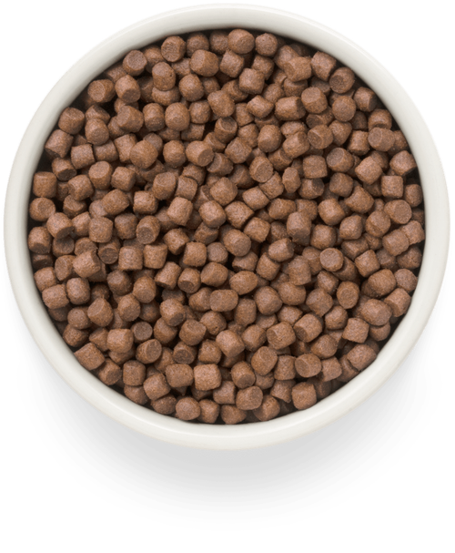 Grandorf Fresh Dog Potato корм сухой беззерновой для собак мелких пород утка,бататом