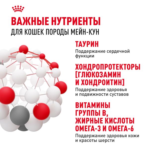 Пауч Royal Canin Maine Coon Adult для взрослых кошек породы Мэйн Кун, мелкие кусочки в соусе