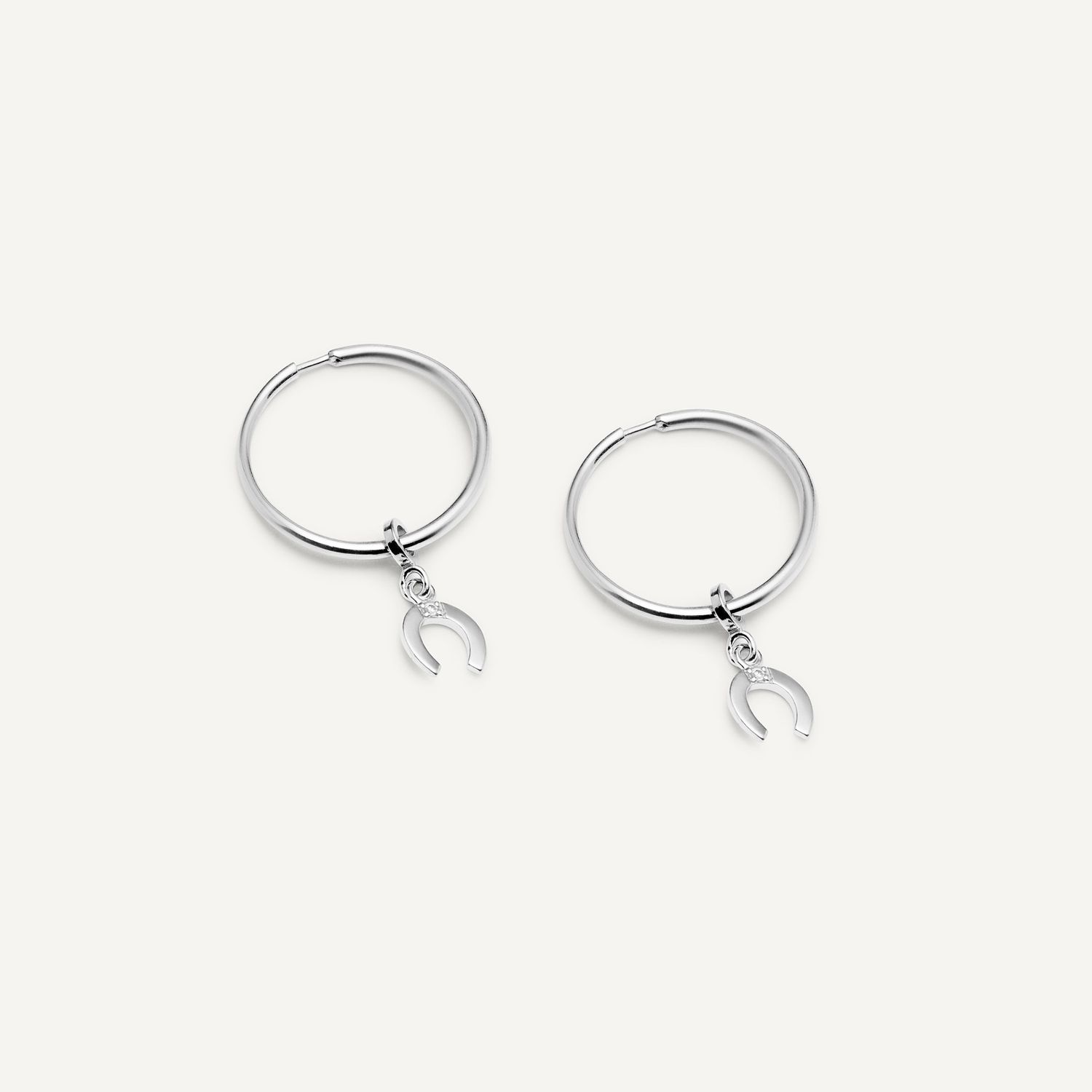 Серьги Guarding Horseshoe Earrings