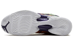 Кроссовки Jordan Air Jordan 29 Hare