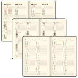 Ежедневник датированный А5 BRAUBERG "Note" (117515) 8