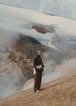 Сумка Polene Numero Dix EDITION CROCODILE NUBUCK TAUPE