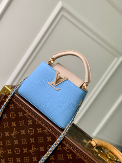 Louis Vuitton Capucines Mini
