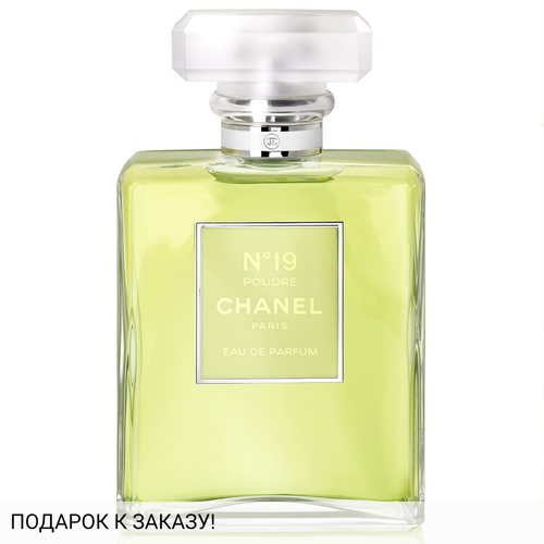 Chanel Chanel № 19 Poudre